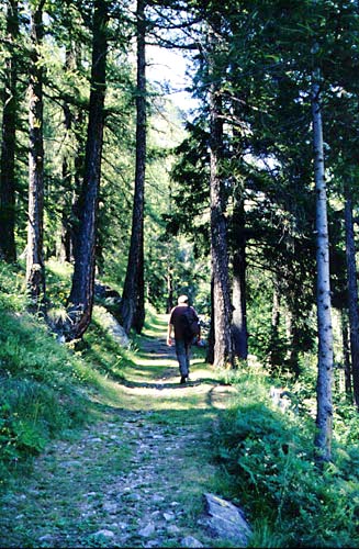 [Walking from Congress Center to Gressoney]